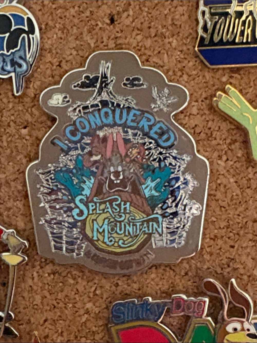 Rare Walt Disney World I Conquered Splash Mountain Enamel Pin